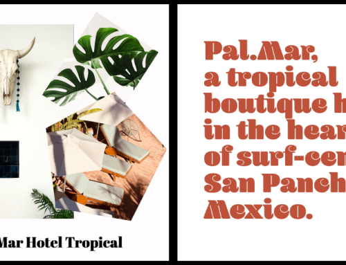 Hotels We Love x San Pancho, Mexico